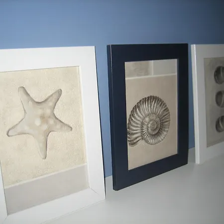 Sedinum - Bryza Szczecin