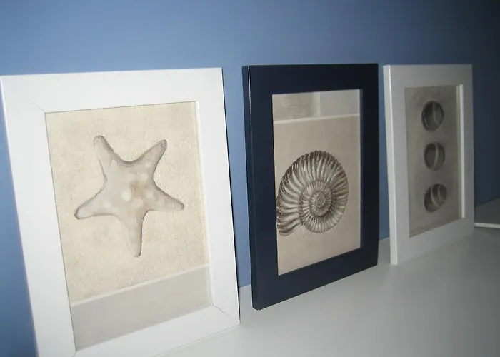 Sedinum - Bryza Szczecin